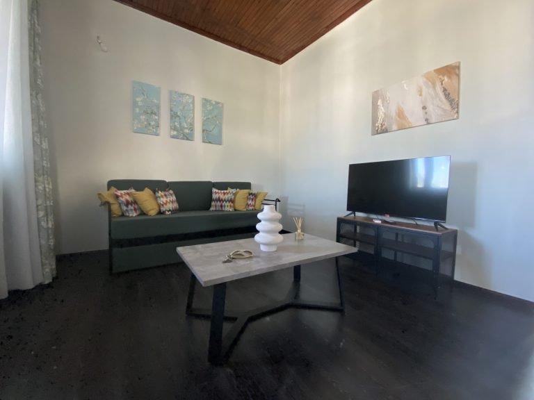 Living room with sofa bed and TV, upper sea-view apartment, Aphrodite Apartments Mytikas